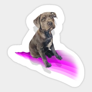 Adorable blue staffy puppy painting Sticker